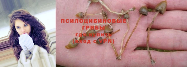 крисы Беломорск