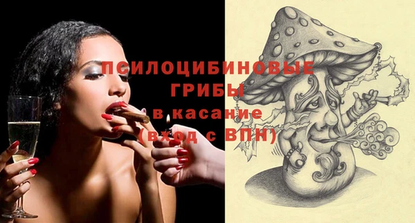 a pvp Белокуриха
