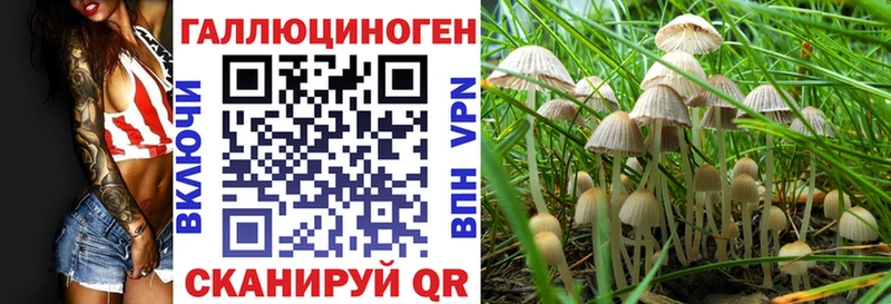 Псилоцибиновые грибы GOLDEN TEACHER  сайты даркнета официальный сайт  Мглин  даркнет сайт 